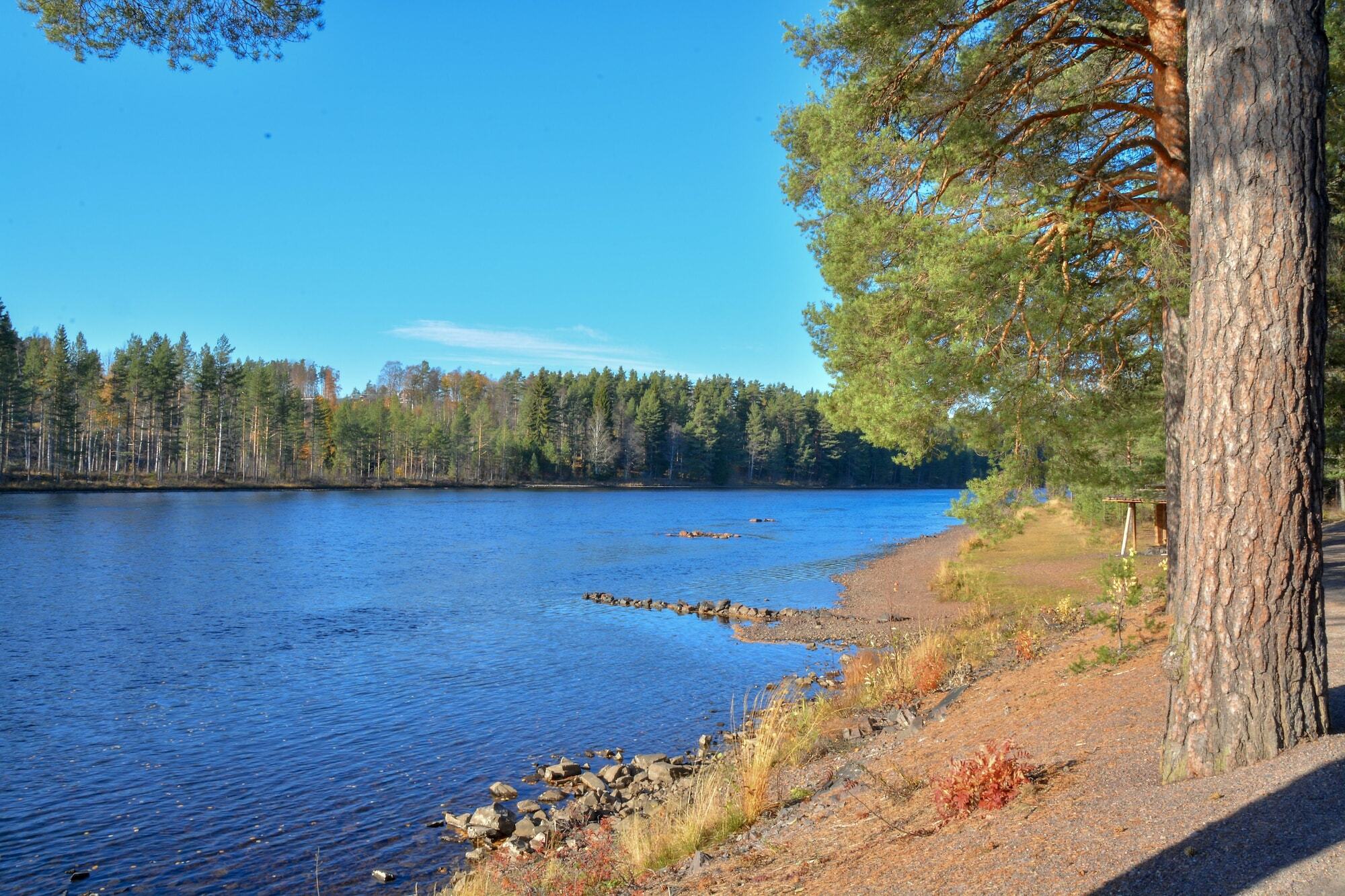 Aelvdalens Camping Exteriér fotografie