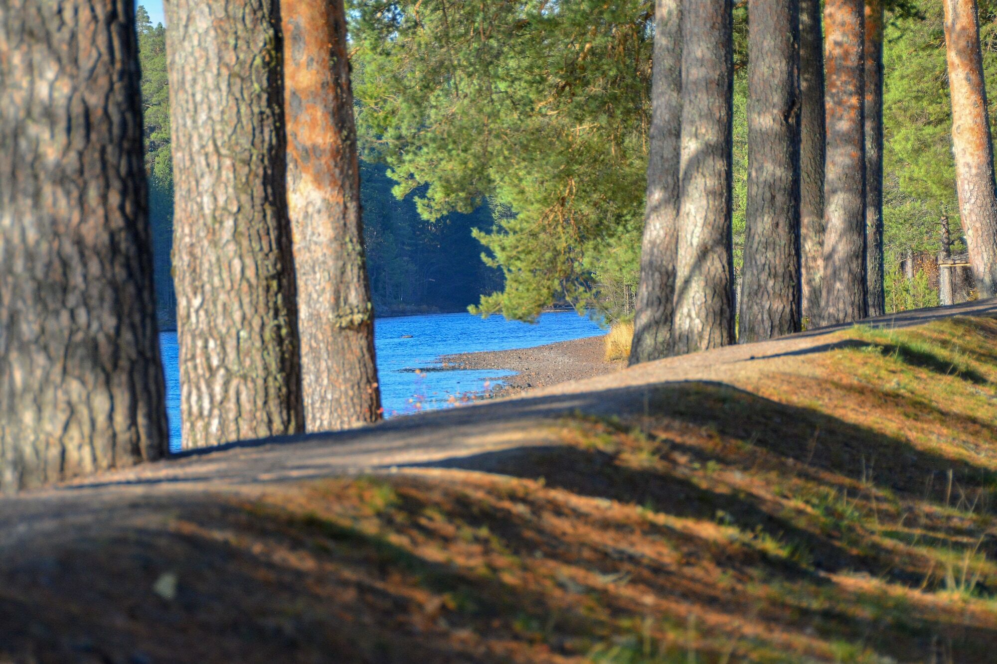 Aelvdalens Camping Exteriér fotografie